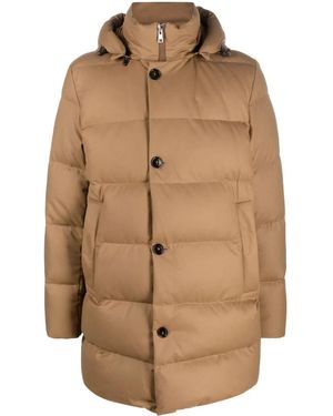 Woolrich ボタン フーデッドコート - ブラウン
