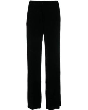 Antonelli Tailored Pants - Black