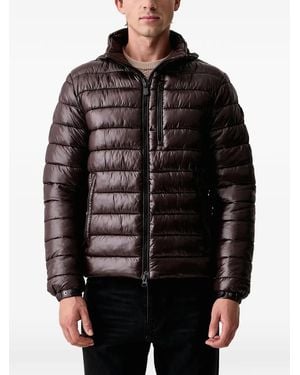 Save The Duck Logo-Patch Padded Jacket - Black