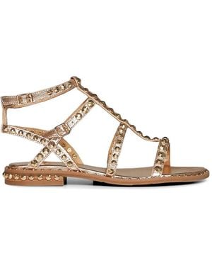 Ash Stud-Embellished Gladiator Sandals - Natural