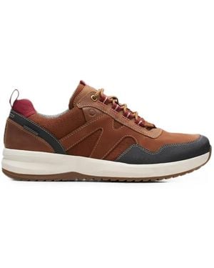 Clarks Wellman Trail Paneled Sneakers - Brown