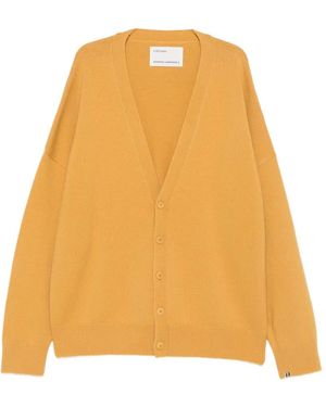 Extreme Cashmere Simo Oversized Cardigan - Yellow