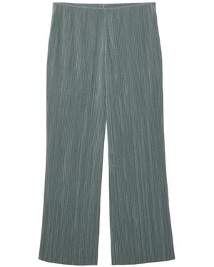 Calvin Klein Plissé Trousers - Green