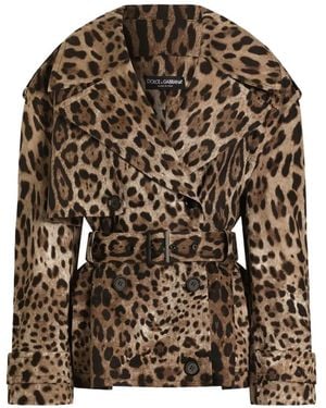 Dolce & Gabbana Leo-Print Cotton Drill Jacket - Brown