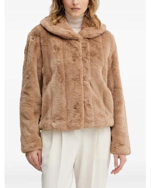 Guess Hooded Jacket - Brown