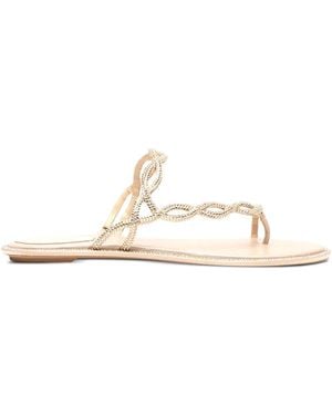 Rene Caovilla Rhinestoned Thong Sandals - White