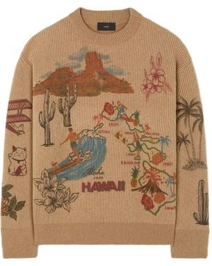 Alanui Decade Pullover Mit Grafischem Print - Braun