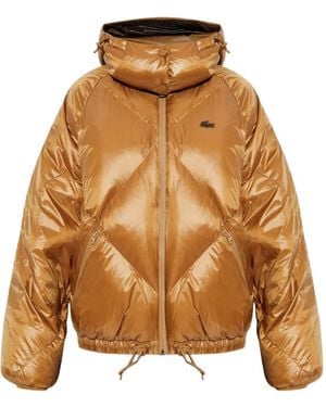 Lacoste Gesteppte Kapuzenjacke - Braun