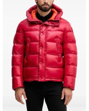 Blauer Chaqueta Con Capucha - Rojo