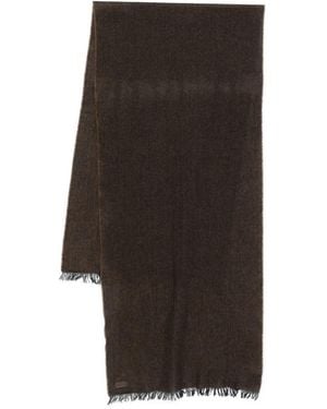 Canali Fringed Scarf - Brown