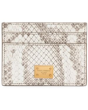 Dolce & Gabbana Kartenetui Aus Pythonleder - Natur