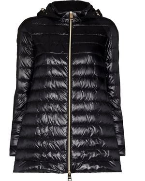 Herno Concealed-Hood Padded Jacket - Black