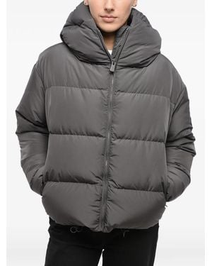 Bacon Cloud Zip-Up Puffer Jacket - Grey