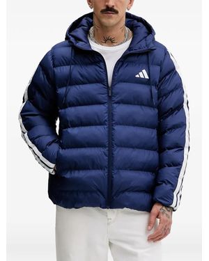 adidas Hooded 3-Stripes Jacket - Blue