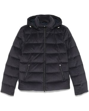 Herno Ribfluwelen Jack - Blauw