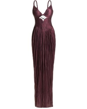 Maria Lucia Hohan Robe Longue À Design Plissé - Violet