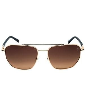 Timberland Pilot-Frame Sunglasses - Brown