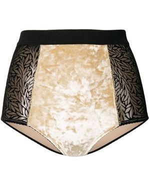 Chite' Lace-Embroidered Briefs - Natural