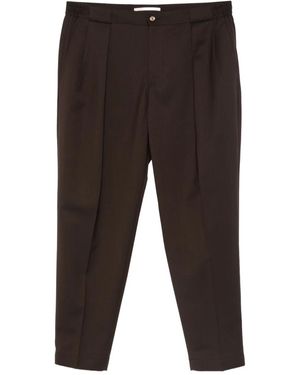 Briglia 1949 Portobello タックフロントパンツ - グレー