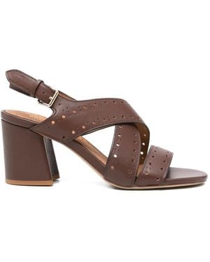 Bruno Premi Criss-Cross Perforated Sandals - Brown