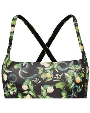Roberto Cavalli Lemon-Print Bikini Top - Green