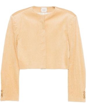 Alysi Corduroy Cropped Jacket - Natural