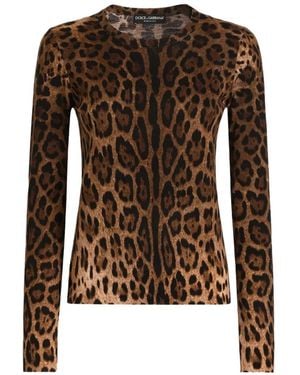 Dolce & Gabbana Pull Polo En Laine Imprimé Leo - Marron