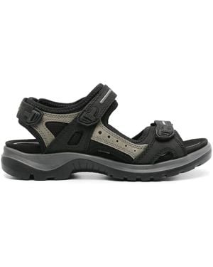 Ecco Offroad タッチストラップ サンダル - ブラック
