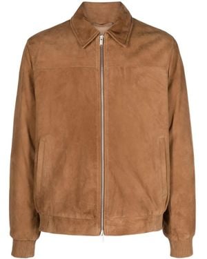 Lardini ジップアップ スエードジャケット - ブラウン