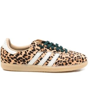 adidas gazelle silver green womens Adidas Gazelle Indoor Sneaker  Buy online now!