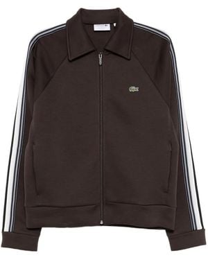 Lacoste Logo-Appliqué Jacket - Brown