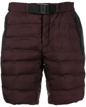 Aztech Mountain Ozone Insulated Shorts - Multicolour