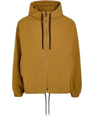 Studio Nicholson Hooded Zip-Up Jacket - Brown