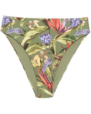 FARM Rio Strilitzia Floral-Print Bikini Bottoms - Green