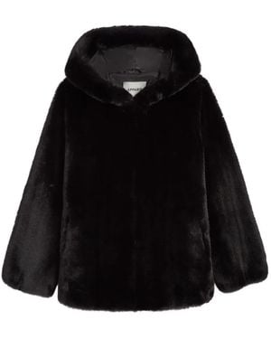 Apparis Katin Hooded Jacket - Black