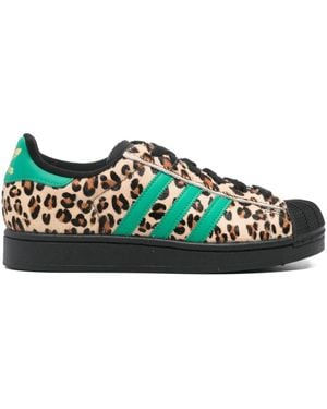 adidas Superstar レオパード スニーカー - グリーン