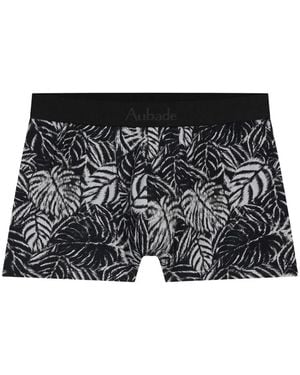 Aubade Leaf-Print Boxer Briefs - Black