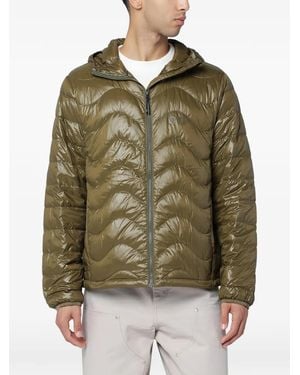 Purple Mountain Observatory キルティング フーデッドジャケット - グリーン