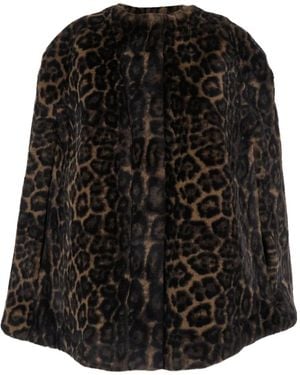 Apparis Leopard-Print Cape - Black