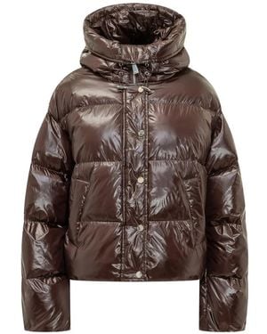 Pinko Padded Hooded Jacket - Brown