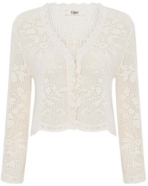 Chloé Pointelle-Knit Cropped Cardigan - White