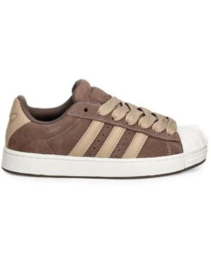 adidas Superstar Sneakers - Brown