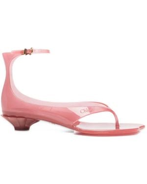 Chloé Jelly Sandalen Mit Schnallenverschluss - Pink