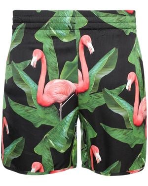 BLUE SKY INN Flamingo Shorts - Groen