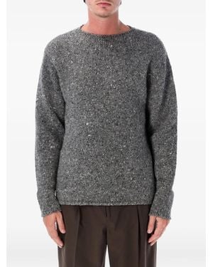 AURALEE Pullover Mit Rundhalsausschnitt - Grau