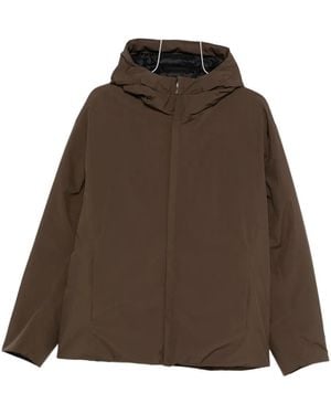 Herno Hooded Parka - ブラウン