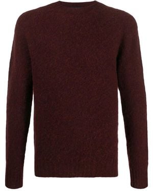 Howlin' Jersey Birth Of The Cool - Morado