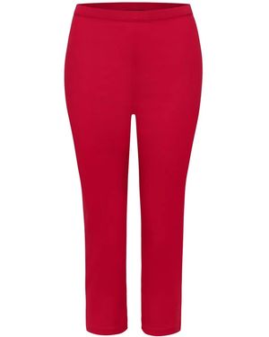 Azeeza Shreya Pants - Red
