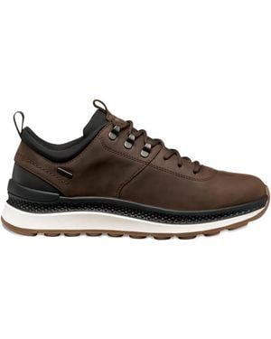 Geox Logo-Detail Sneakers - Brown