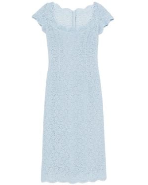 Ermanno Scervino Lace Scalloped-Edge Midi Dress - Blue